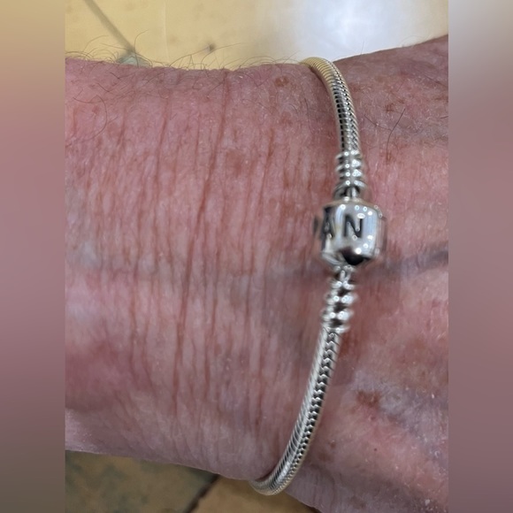 ❤️ Pandora Moments Snake Chain Bracelet Size Approx 16 inches length - Picture 4 of 6